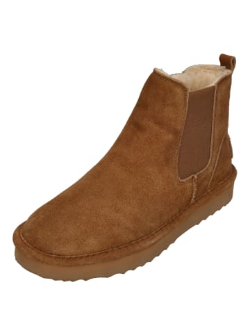 natural world Chelsea Boots DUNE 7310 in braun