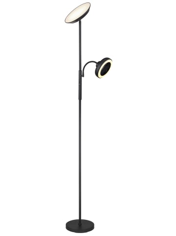 Globo lighting Deckenfluter "DAVYD" in black