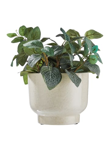 Butlers Blumentopf PLANT BOWL in Weiß
