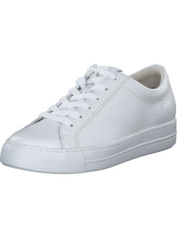 Paul Green Schnürschuhe in white