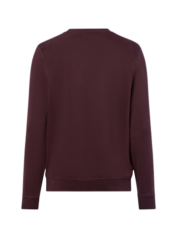Nils Sundström Sweatshirt in bordeaux - 0011
