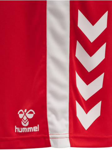 Hummel Hummel Verstellbare Taille Kurze Hose Hmlcore Erwachsene in TRUE RED