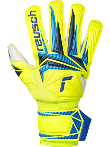 Reusch Torwarthandschuhe Attrakt Advance Junior in 2005 safe yellw/sharp blue
