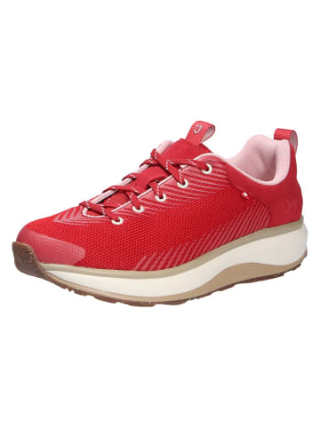 Joya Schnürschuh MAUI RED in rot
