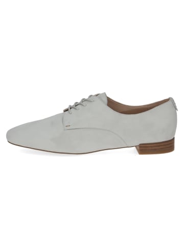 Caprice Klassische Schnürschuhe in Grau