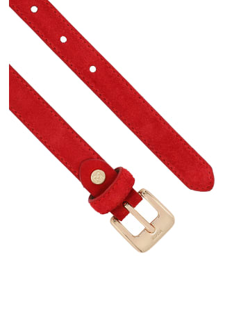 Kazar Gürtel in Rot