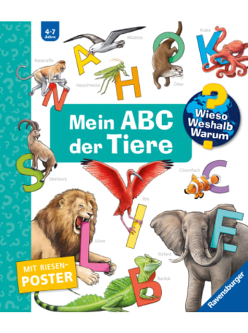 Ravensburger Verlag GmbH Buch - Wieso? Weshalb? Warum? Sonderband - Mein ABC der Tiere