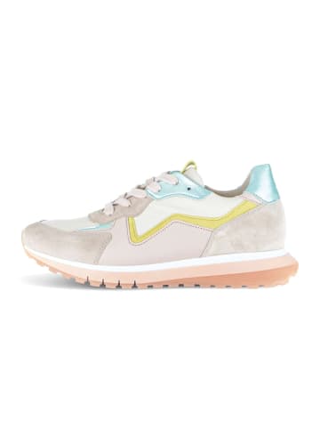 Gabor Sneaker low in multicolour