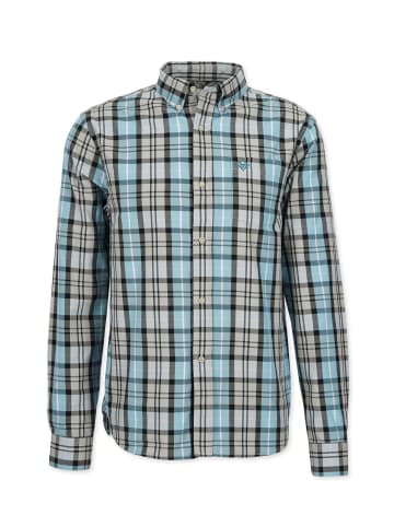 HONESTY RULES Shirt " Basic Check " in arctic-blue