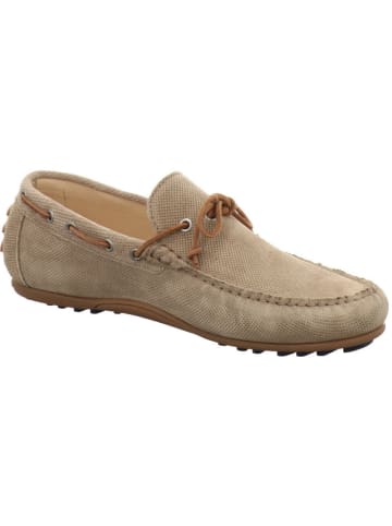 Floris van Bommel Mokassin in beige