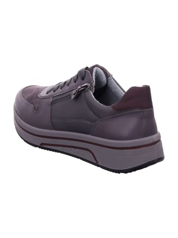 ara Komfort Schnürschuhe in Grau