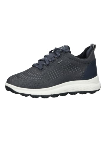 Geox Sneaker in Blau/Grau