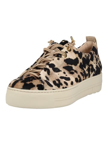 Paul Green Sneaker in Leopard