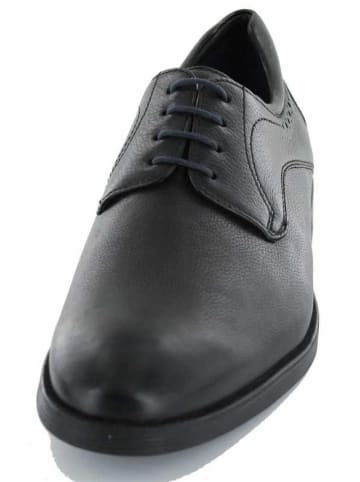 Sioux Schnürschuh in schwarz
