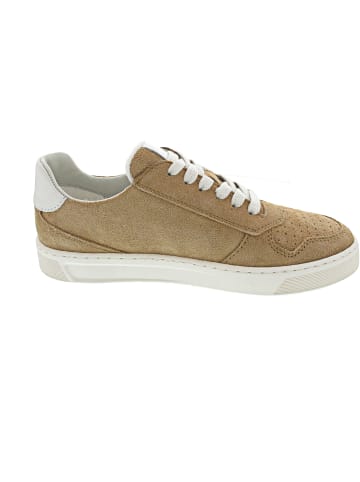 Sioux Sneaker low Beige