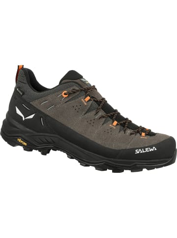 Salewa Wanderschuh Alp Trainer 2 GTX in Schlamm