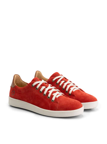 TRAVELIN' Metz Suede in rot