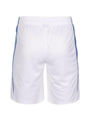 Nike Performance Funktionsshorts Team Stock 20 in weiß / blau