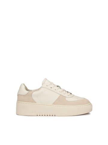 Kazar Studio Sneaker Low in Off-white