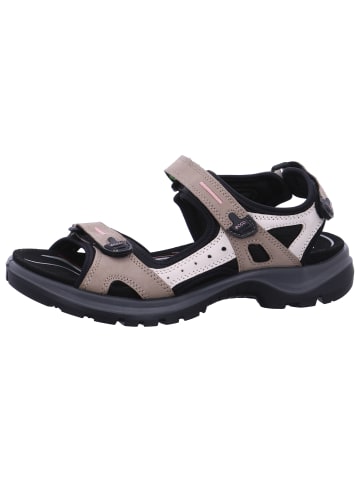 Ecco Sandale Offroad in Grau