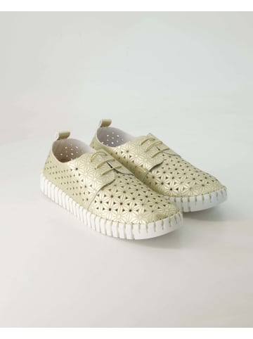 Terry Slipper in Gold