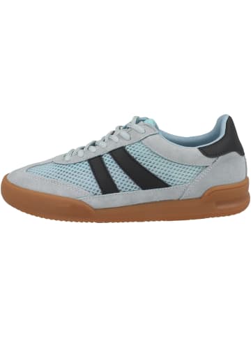 Steve Madden Sneaker low Verdict in blau