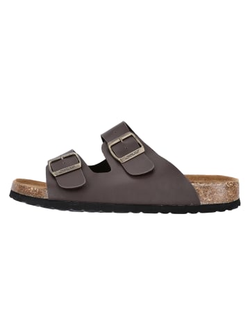 Cruz Sandalen Shawnee in 8885 Various Brown