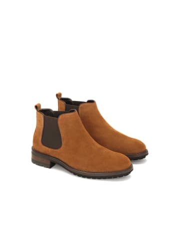 Kazar Chelsea Boots AMERY in Braun