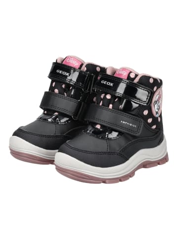Geox Stiefelette in Schwarz/Rosa