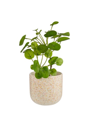 Butlers Blumenübertopf SPOT in Beige