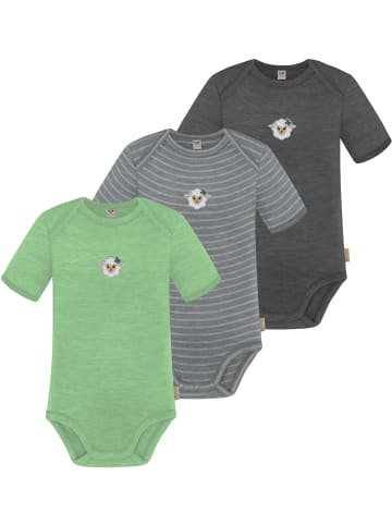 Normani Outdoor Sports 3er Set Baby Merino Body Kurzarm Tauranga in Anthrazit/Grau/Grün