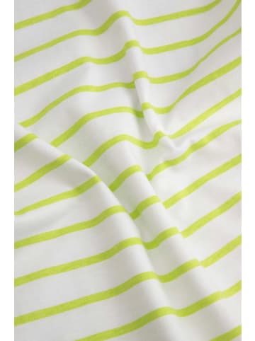 Coccodrillo Gestreiftes Baumwoll-T-Shirt in weiß