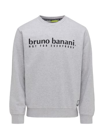 Bruno Banani Sweater KING in Grau / Melange