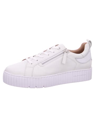 SALAMANDER Sneaker  in Weiß