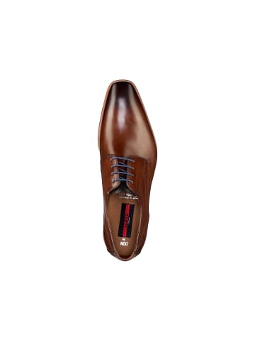 LLOYD Business Schuhe für Herren in braun in braun