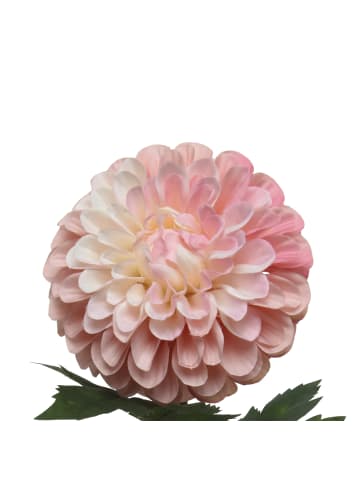 MARELIDA Kunstblume Dahlie in rosa - H: 75cm