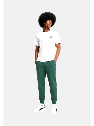 Puma Hose 'ESS 2 Colour No. 1 Logo' in grün