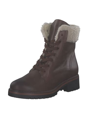 Gabor Comfort Schnürstiefel in peanut/EF (Webl.)