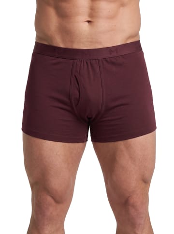 Men Plus Slip in weinrot