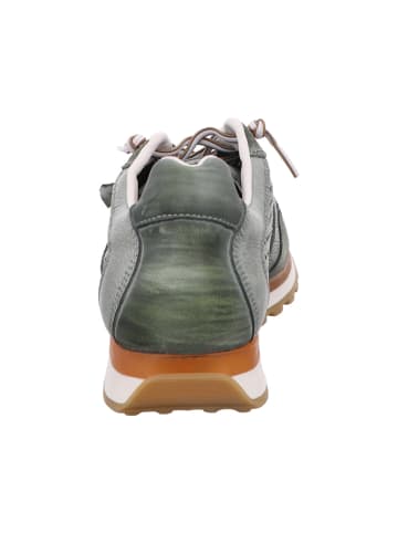 Cetti Sneaker in dunkelgrün