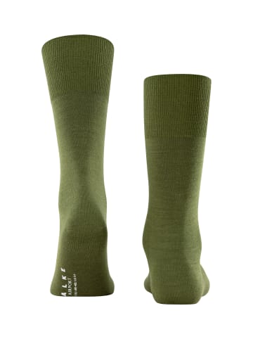 Falke Socken Airport in Forest