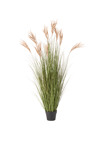 Beliani Kunstpflanze CLAW FLOWER in Grün/Braun/Schwarz - (W) 60 x (H) 150 x (L) 60 cm