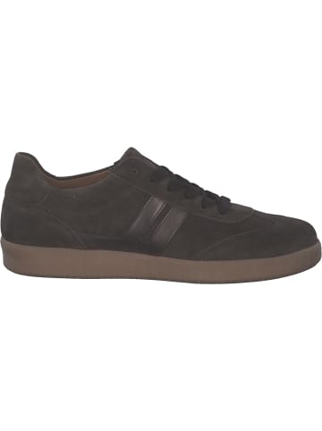 Gabor Fashion Schnürschuhe in brown/bronce