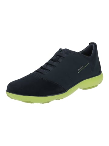 Geox Sneaker in Navy/Lime