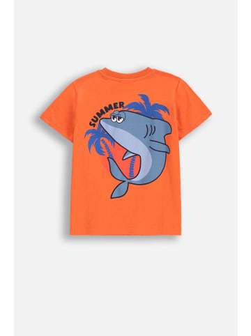 Coccodrillo T-Shirt mit kurzem Ärmel in orange