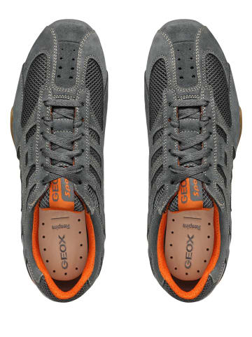 Geox Sneakers Low U Snake Orginal A in grau