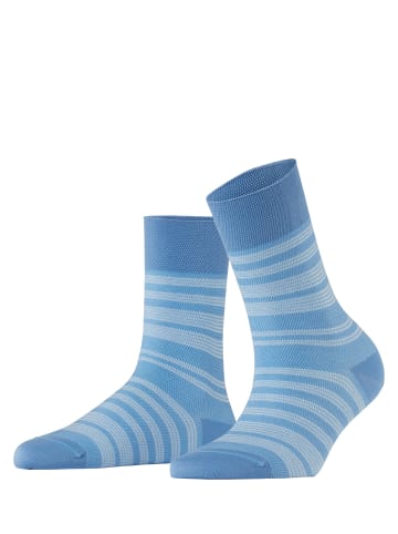 Falke Socken Sensitive Sunset Stripe in Cornflower