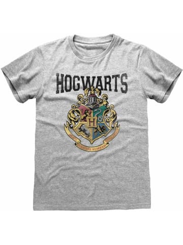 Harry Potter T-Shirt in Grau