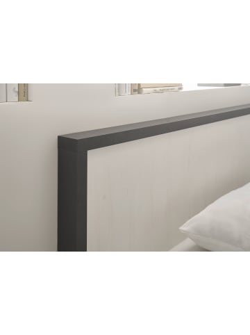 Furn.Design Bett weiß Pinie, anthrazit Landhaus, Einzelbett Liegefläche 140 x 200 cm