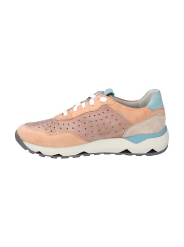 Josef Seibel Sneaker Jonah 02 in nude-multi